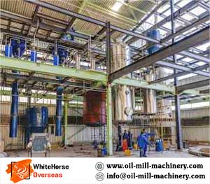 Vegetable Oil Refining Plant