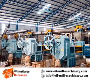 virgin Coconut Oil Plant